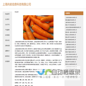 上海尚俞信息科技有限公司-首页